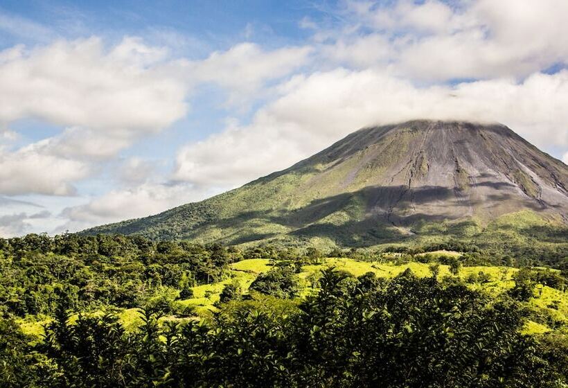 Fotos del hotel Tifakara Boutique Hotel & Birding Oasis:  11