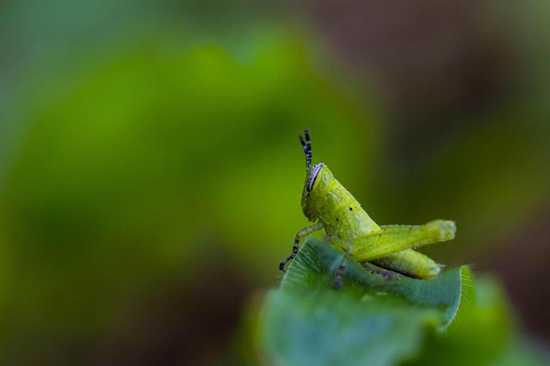 Fotos del hotel Tifakara Boutique Hotel & Birding Oasis:  10