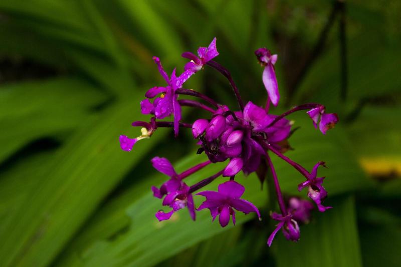 Fotos del hotel Tifakara Boutique Hotel & Birding Oasis:  14