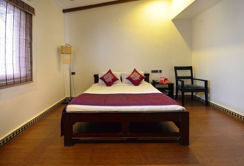 Fotos del hotel Transit:  17