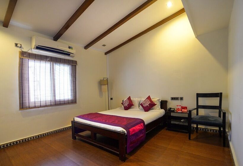 Fotos del hotel Transit:  19