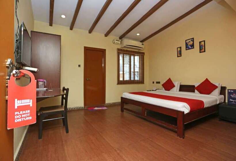 Fotos del hotel Transit:  10