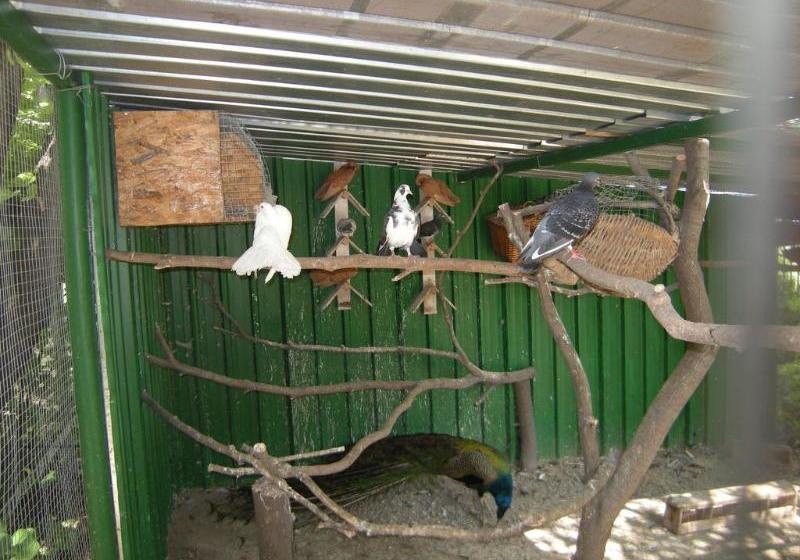 Fotos del hotel Park Hotel Persey:  12