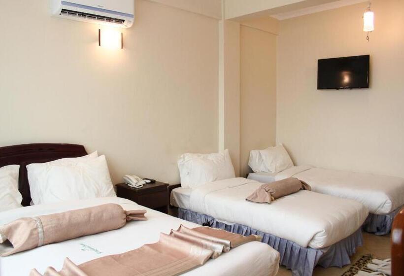 Fotos del hotel Graceland:  12