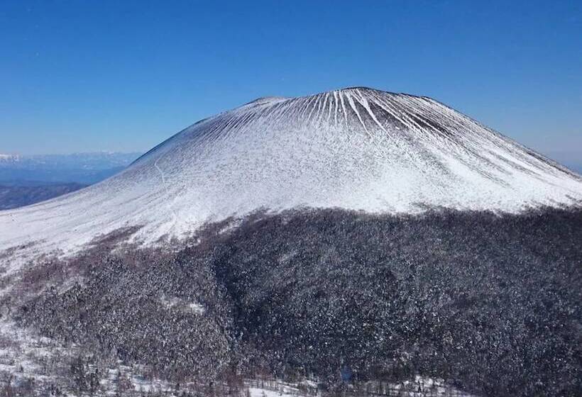 Fotos del hotel Toyoko Inn Sakudaira-eki Asama-guchi:  15