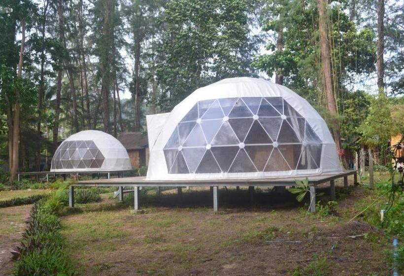 Fotos del hotel Eco Lanta Hideaway Beach Resort:  20