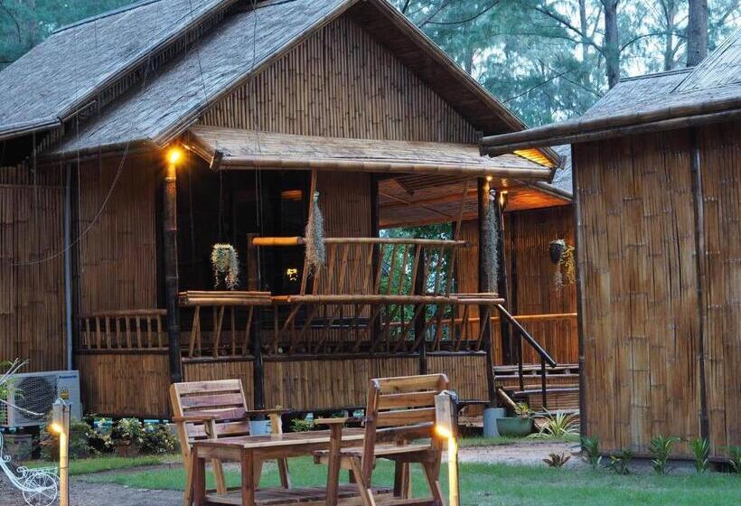 Fotos del hotel Eco Lanta Hideaway Beach Resort:  24