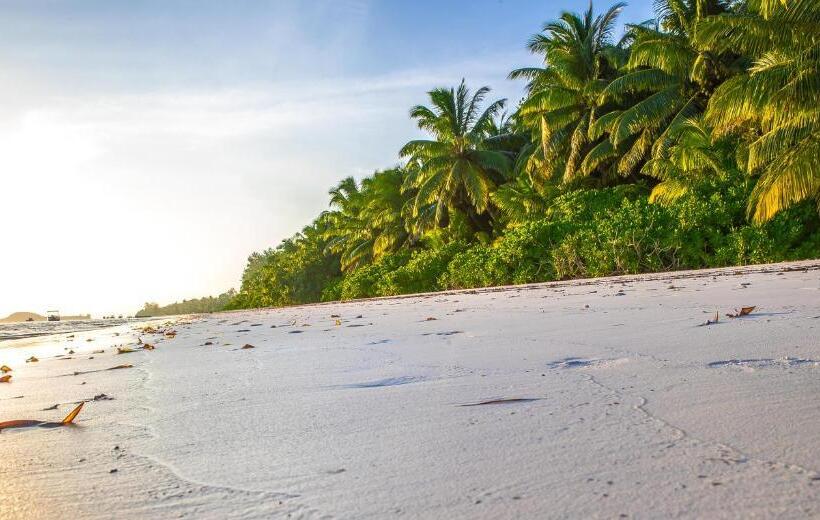 Fotos del hotel Oasis  Restaurant & Spa:  8