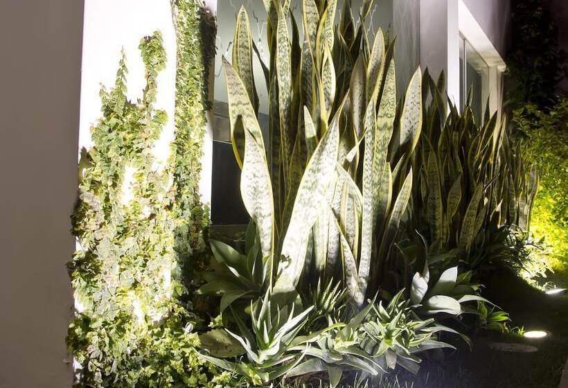 Fotos del hotel Arvo  Boutique:  9