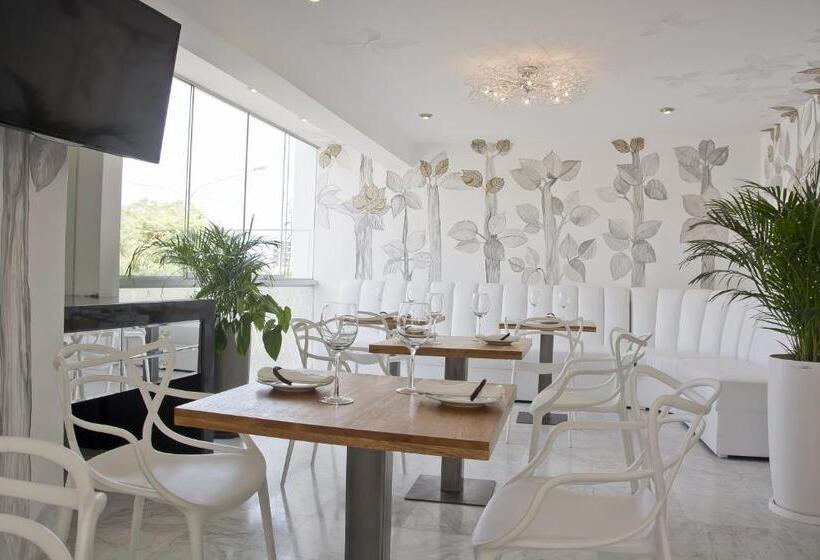 Fotos del hotel Arvo  Boutique:  2