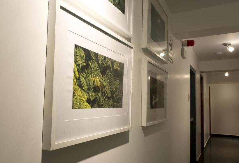 Fotos del hotel Arvo  Boutique:  5