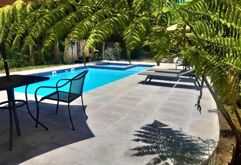 Fotos del hotel Posada La Querencia:  8