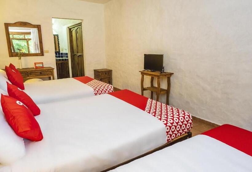 Fotos del hotel Posada La Querencia:  18