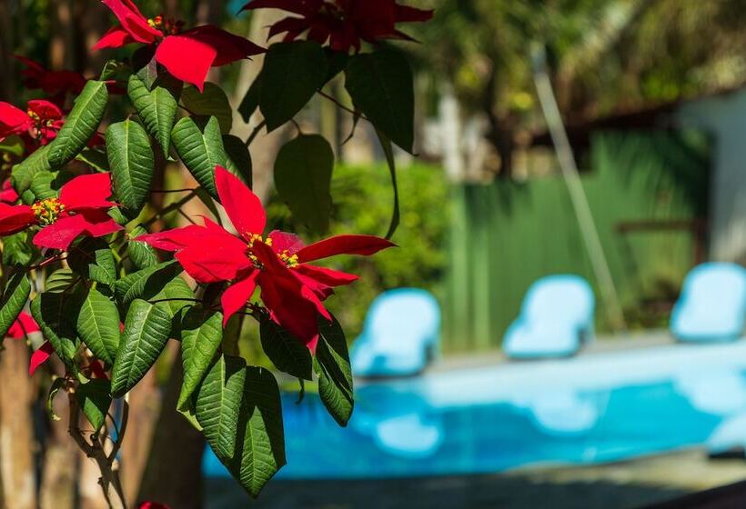 Fotos del hotel Pousada Rio Paraty:  13