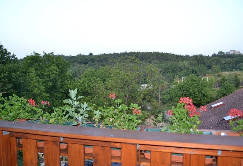 Fotos del hotel Levandule:  17