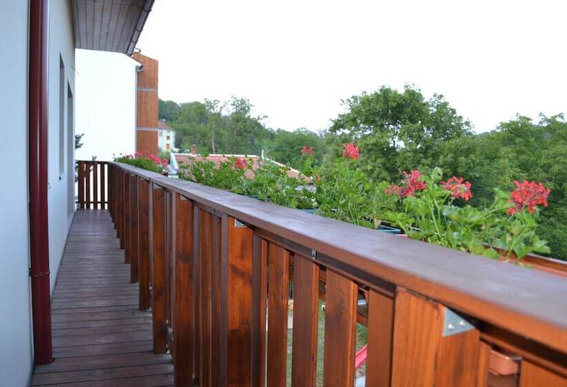 Fotos del hotel Levandule:  8