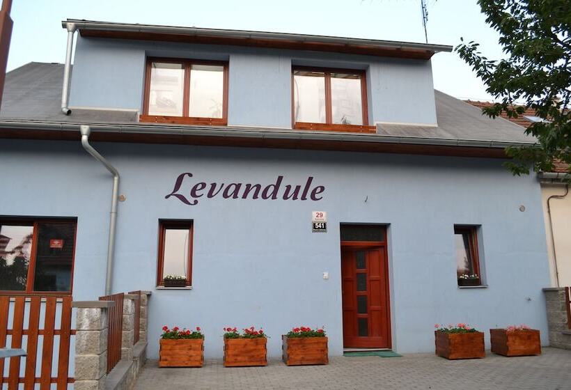 Fotos del hotel Levandule:  11