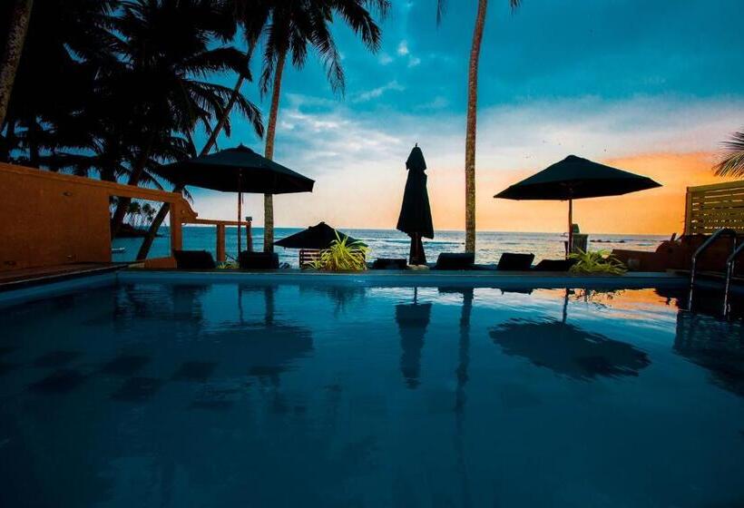 Fotos del hotel Sea World Boutique:  16