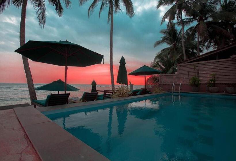 Fotos del hotel Sea World Boutique:  17