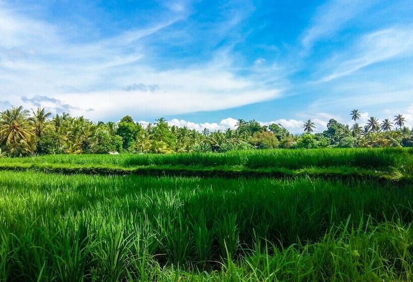 Fotos del hotel Visesa Ubud Resort:  6