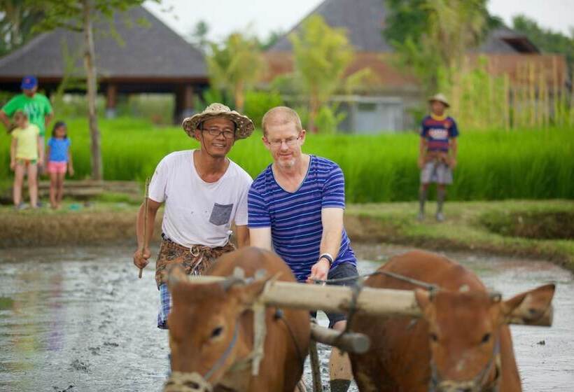 Fotos del hotel Visesa Ubud Resort:  9
