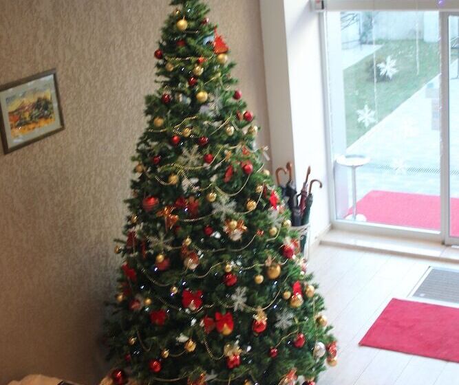 Fotos del hotel Gsg:  6