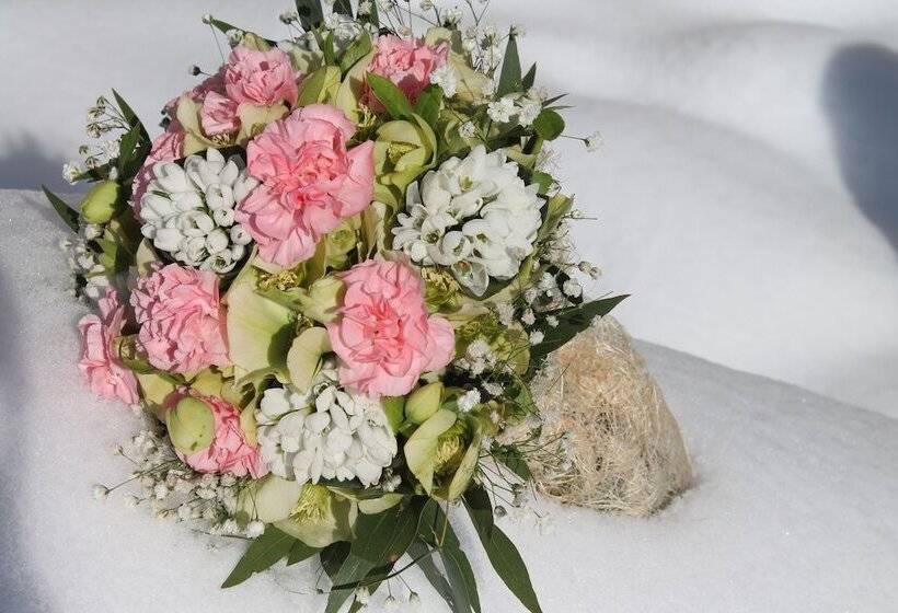 Fotos del hotel Gsg:  5