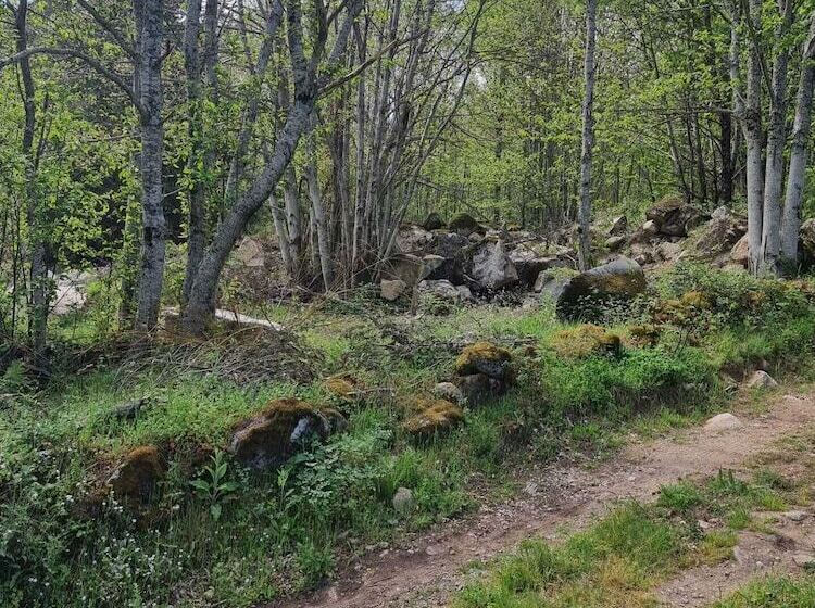 Fotos del hotel Quinta De Leandres:  6