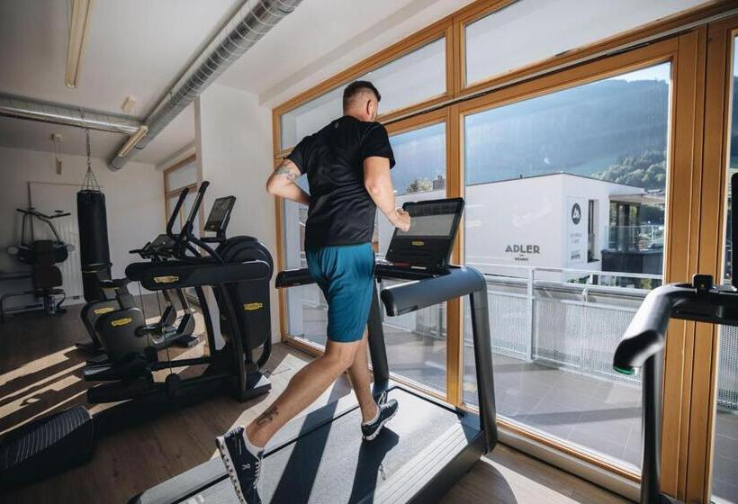 Fotos del hotel Adler Resort:  2