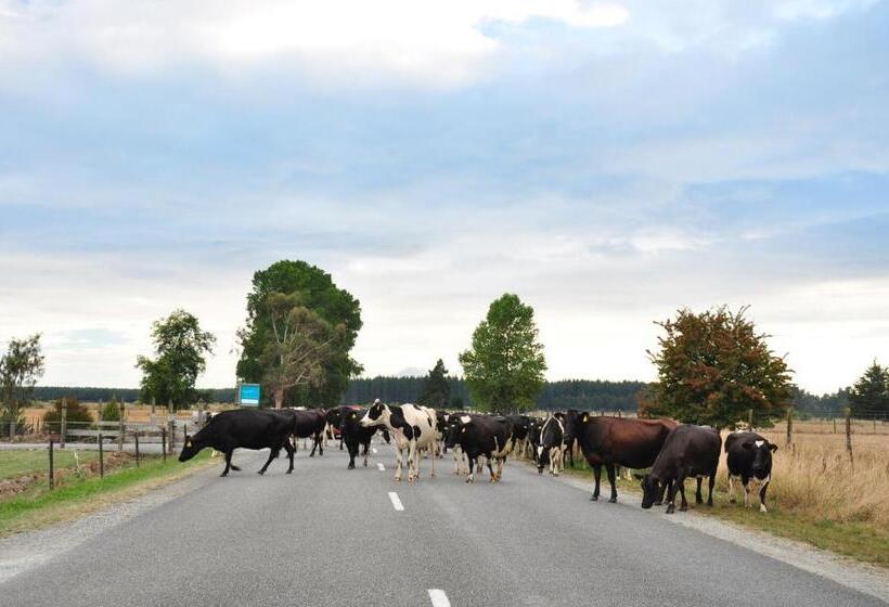 Fotos del hotel Appleby House & Rabbit Island Huts:  16