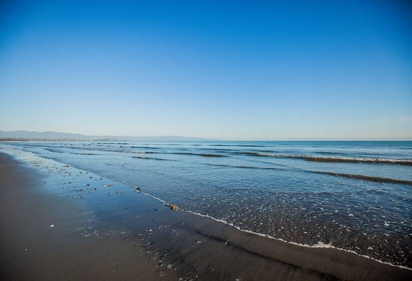 Fotos del hotel Appleby House & Rabbit Island Huts:  11