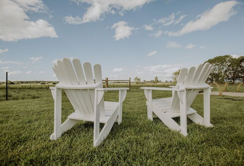 Fotos del hotel Appleby House & Rabbit Island Huts:  20