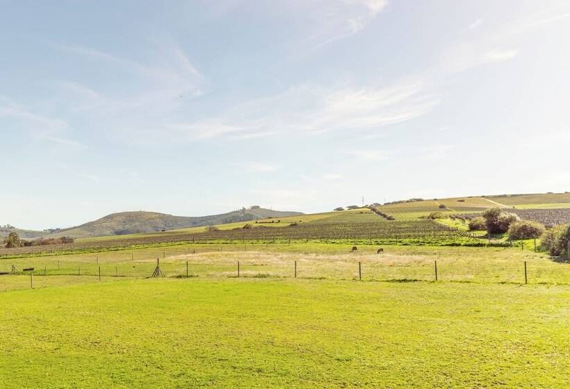 Fotos del hotel Lovane Boutique Wine Estate:  12