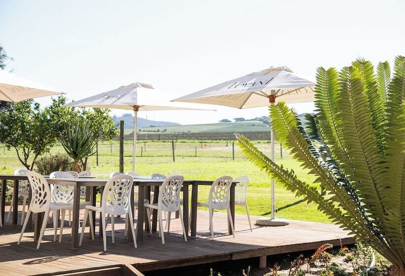 Fotos del hotel Lovane Boutique Wine Estate:  4