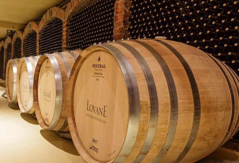 Fotos del hotel Lovane Boutique Wine Estate:  11