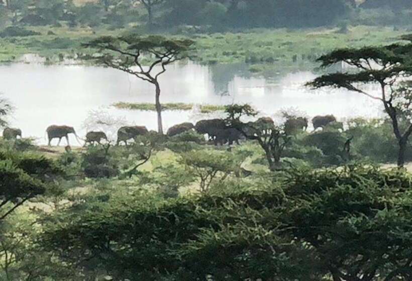 Fotos del hotel Seronera Wildlife Lodge:  23