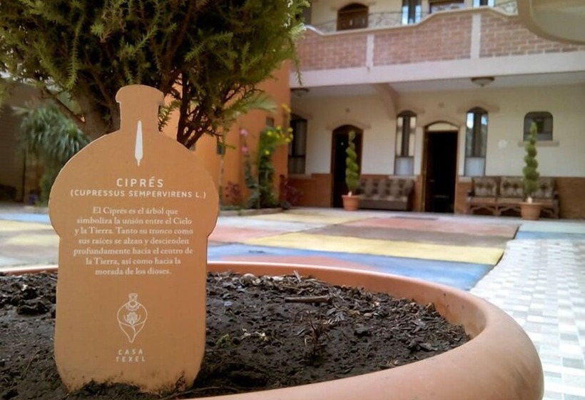 Fotos del hotel Casa Texel:  22