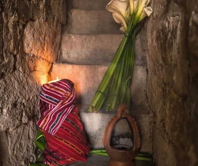 Fotos del hotel Casa Texel:  16