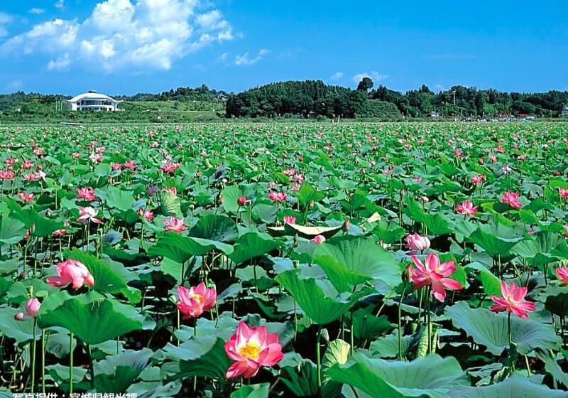 Fotos del hotel Green With:  7