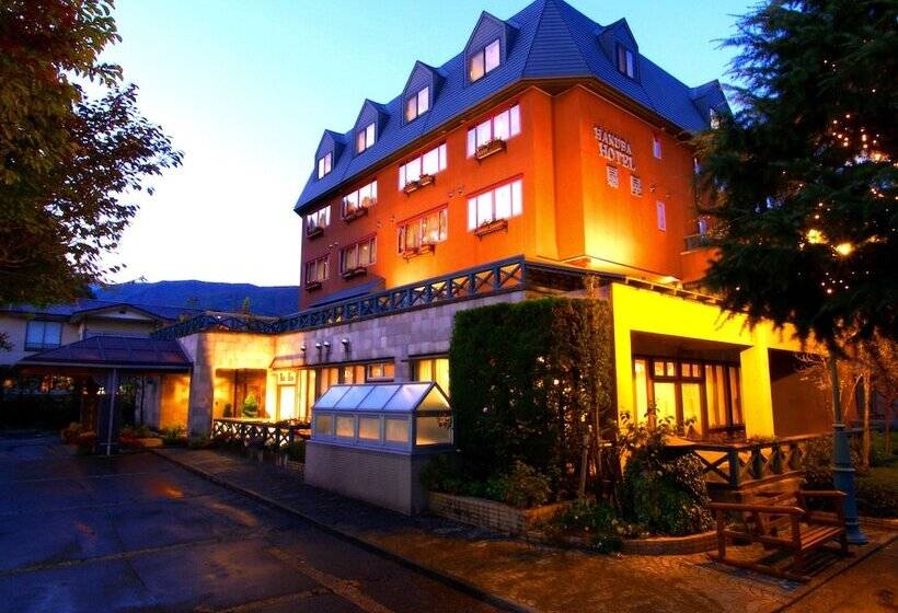 Fotos del hotel Hakuba Hotel Ougiya:  20