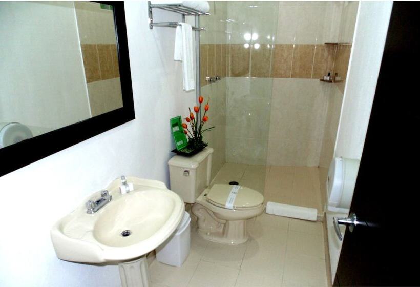 Fotos del hotel Chiapas Hotel Express:  7