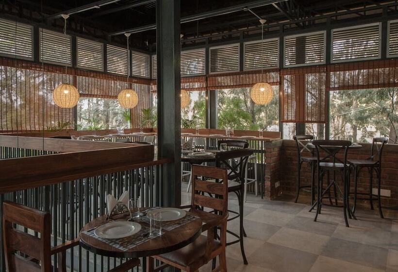 Fotos del hotel Plus S:  15