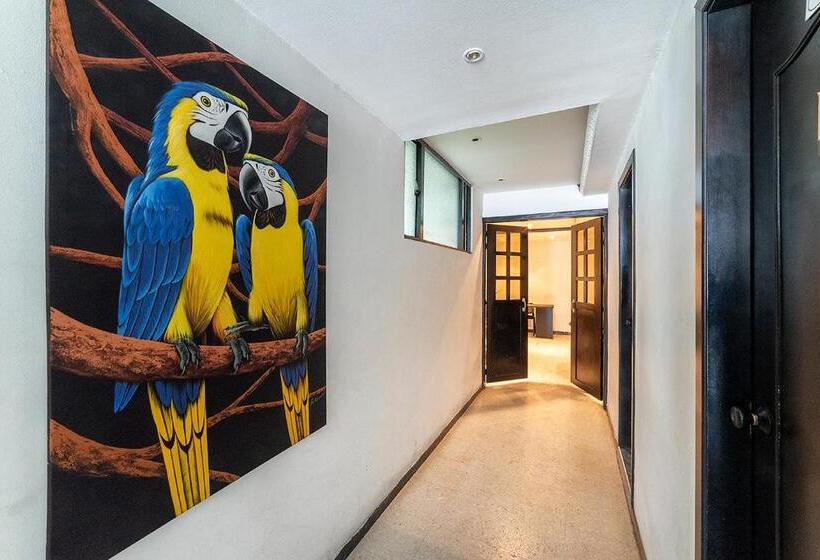 Fotos del hotel Ayenda 1030 Elegant Suite:  16