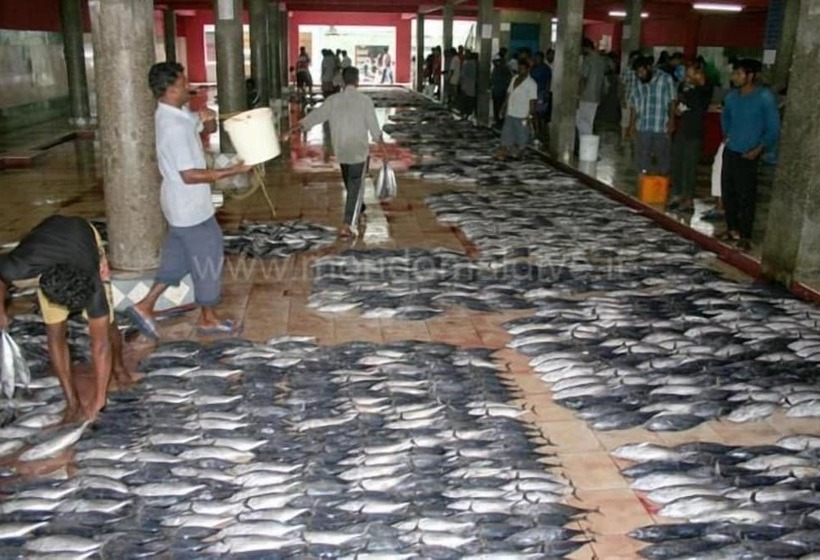 Fotos del hotel Kaani Lodge:  12