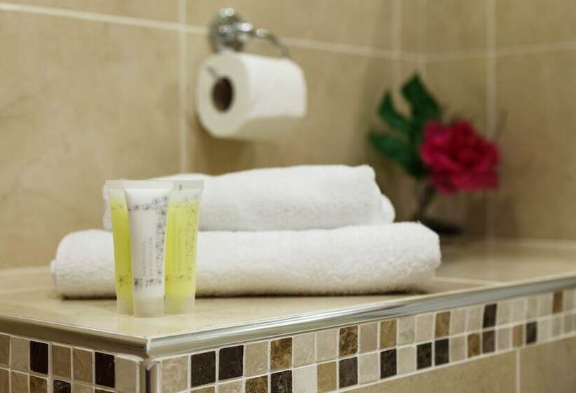 Fotos del hotel Kingfisher Townhouse:  8