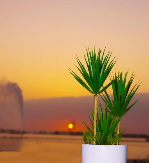 Fotos del hotel Rahhal Al Bahr  Apartments:  7