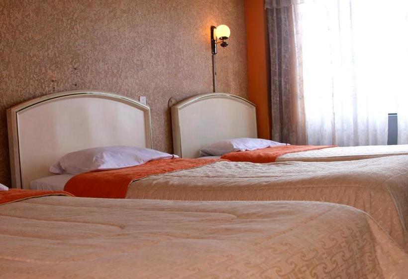 Fotos del hotel Diplomat S:  11