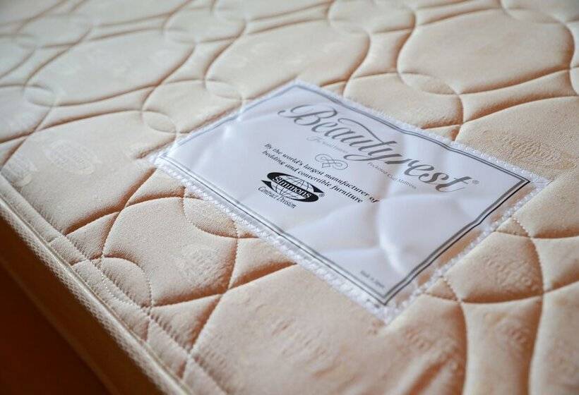 Fotos del hotel Fine Olive Kyoto Yamashina:  18