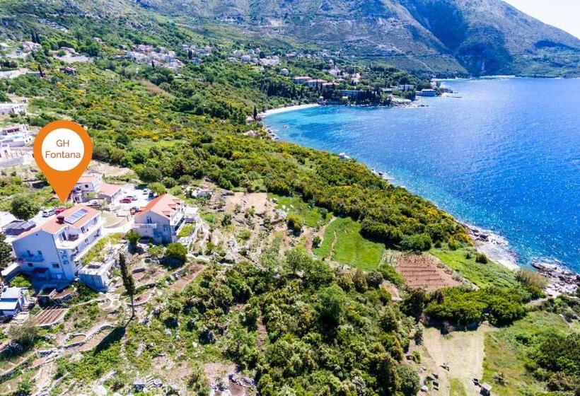 Fotos del hotel Guest House Fontana:  13