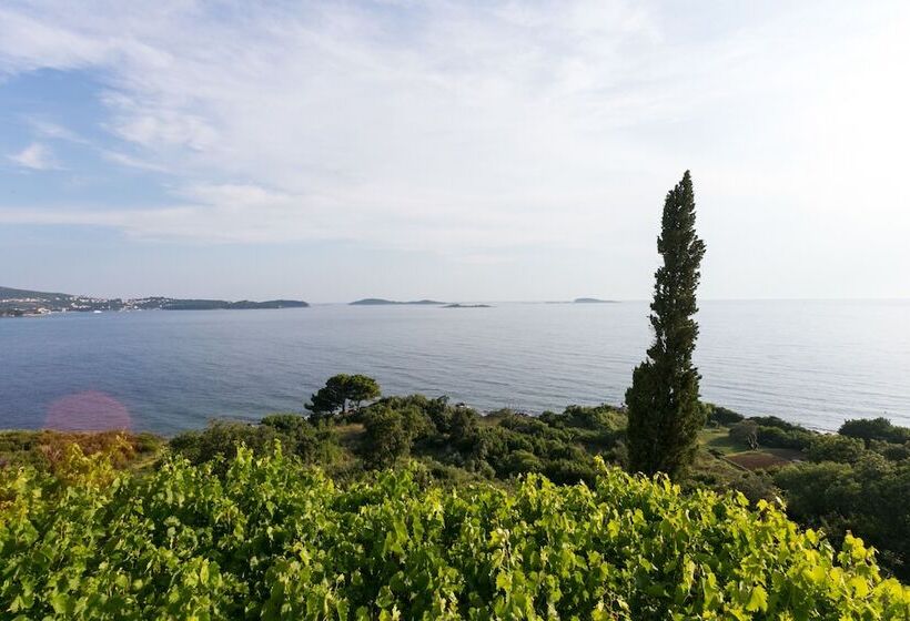 Fotos del hotel Guest House Fontana:  10